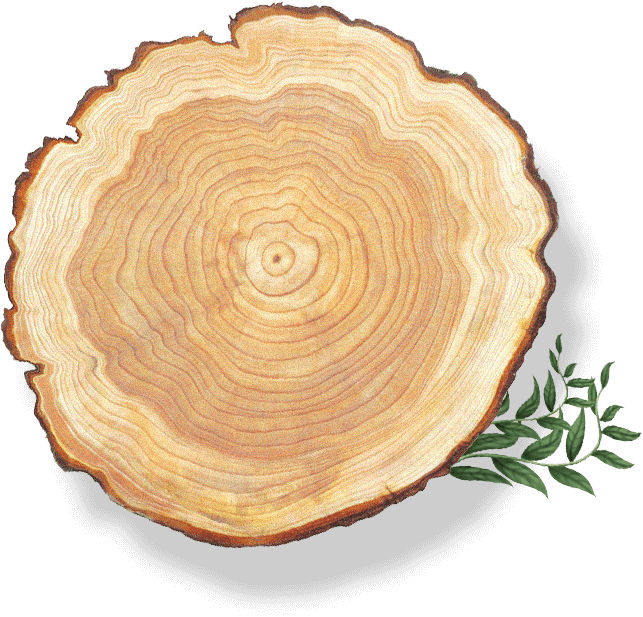 谈球吧体育官网入口